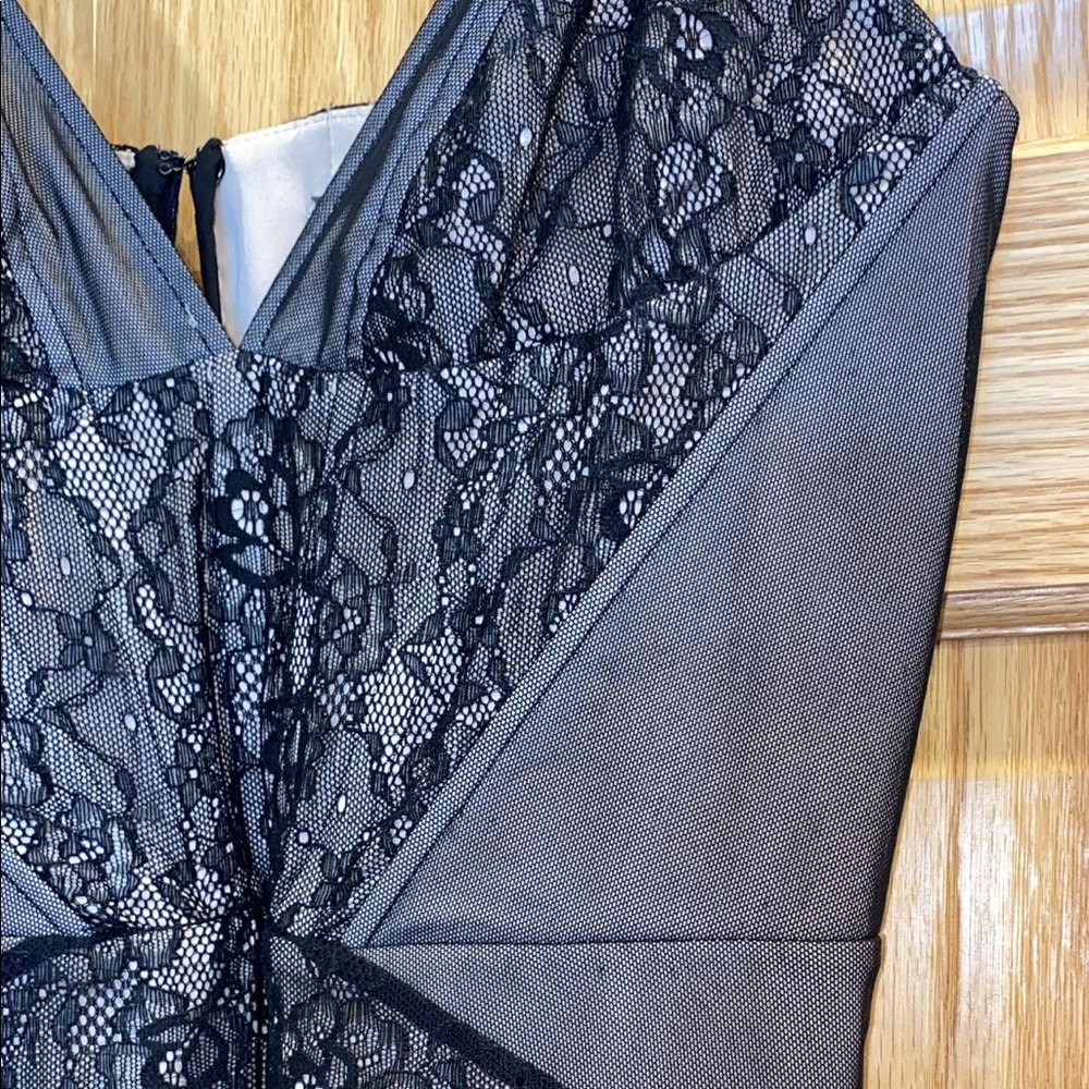 Haute Hippie Black Lace Mini Dress - Picture 12 of 15